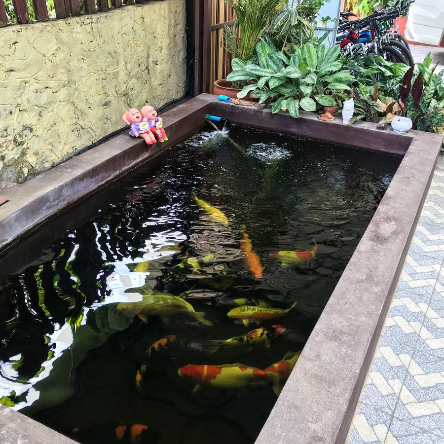 Vanvisa Guesthouse Luang Prabang Ngoại thất bức ảnh