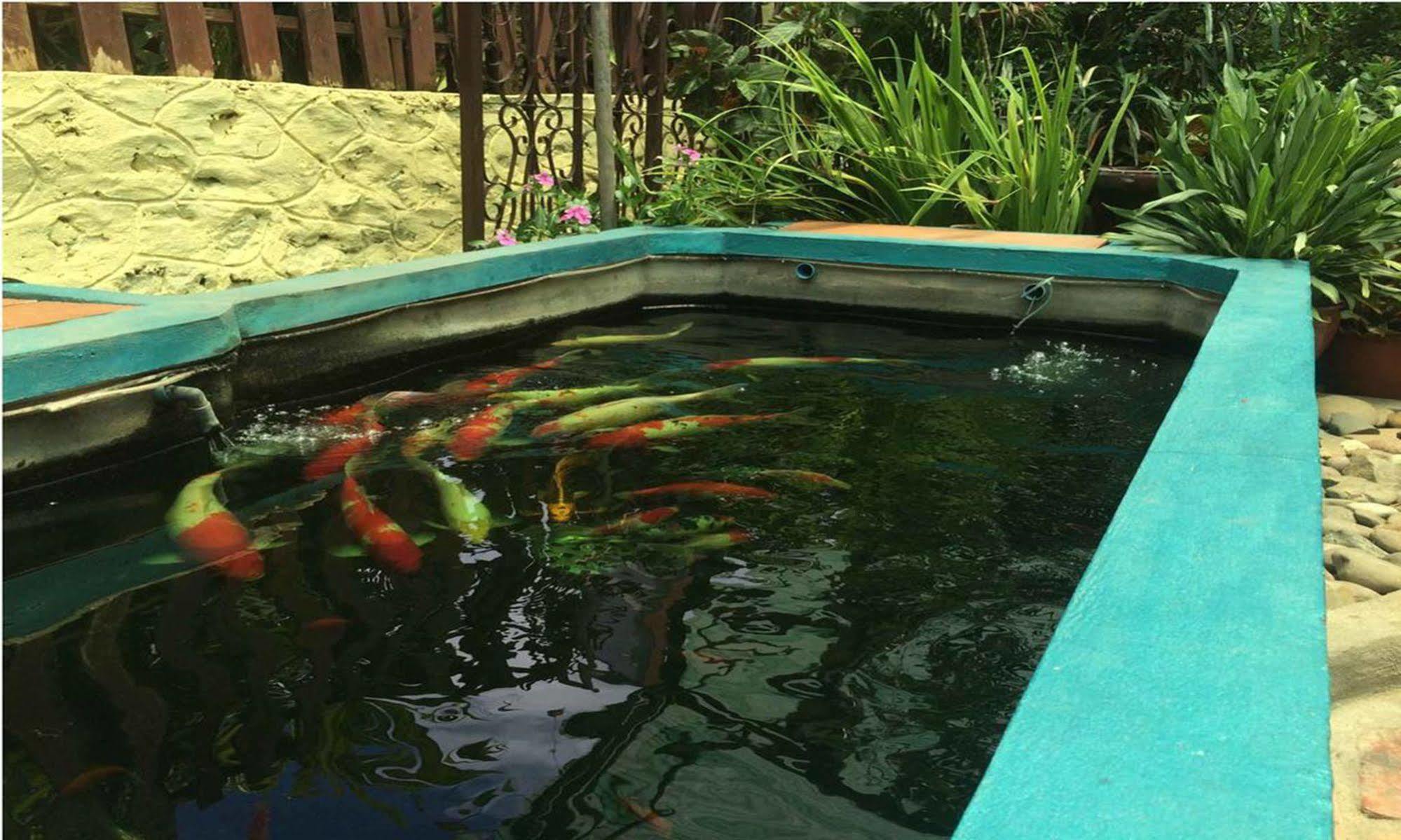 Vanvisa Guesthouse Luang Prabang Ngoại thất bức ảnh